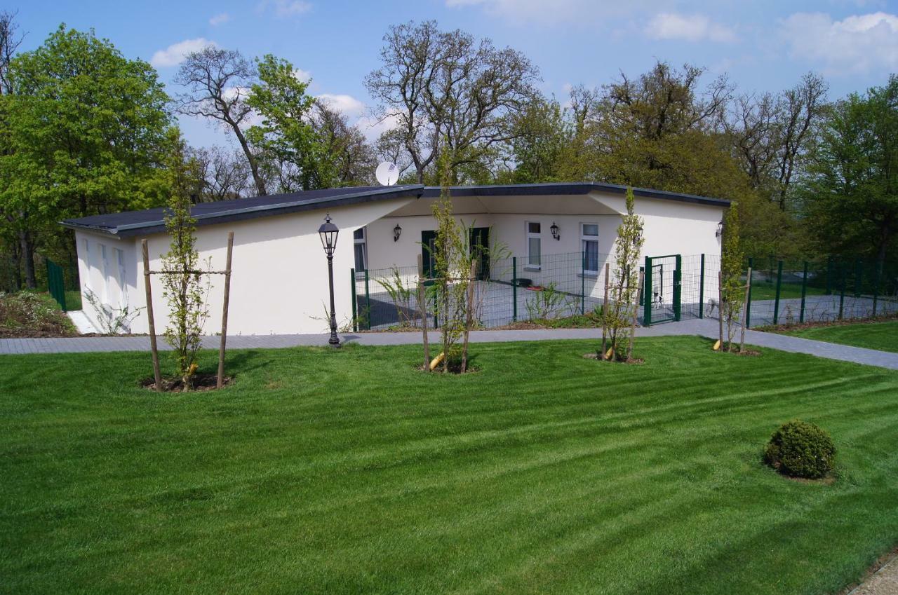 Ferienwohnungen Rohrkopf Ballenstedt Exterior foto